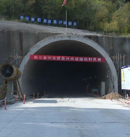 �����ɣ���������Ҷ�˳����ͨ