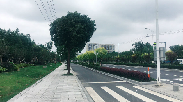 ��������������·��������