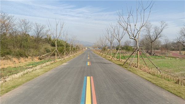 ��ǰ�������ɽͷ��·����˳����������